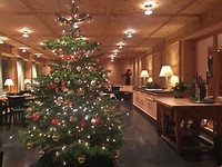 Kerstboom gemaakt met chef in het hotel (2)
