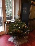 Kerstboom in onze gezamelijke keuken van de Villa Conzequent