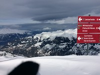 Weishenhorn (3)