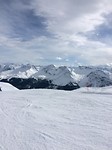 Weishenhorn (7)