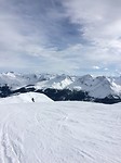Weishenhorn (8)