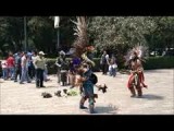 dansantrapolmexico