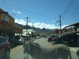 Wegversperring Oatman