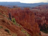Bryce