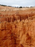 Bryce