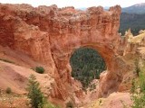 Natural Bridge Bryce