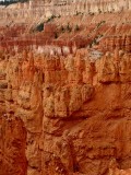 Bryce