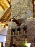 Best western Grand hotel