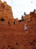 Bryce Navajo loop