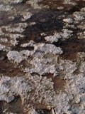 Badwater Death Valley
