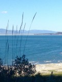 Monolake