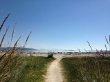Mono lake in de ochtend