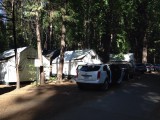 Tent in Curry Village