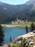 Tiogapass Yosemite