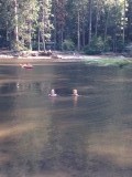Een duik in de Merced river