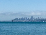 SF