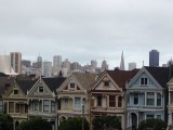 Painted ladies