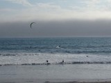 Highway 1 met surfers en dolfijnen