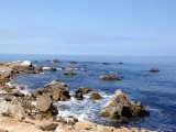17 mile drive monterey
