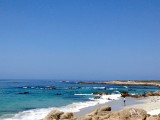 17 Mile drive Monterey