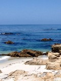 17 mile drive Monterey