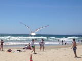 Strand Venice Beach LA