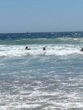 Bodyboard surfen