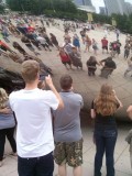 the bean