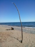 lake superior