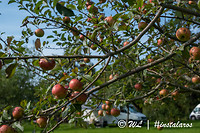 WL-190915-132-2