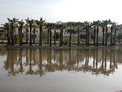 in het Jnane Sbilepark tegenover ons hotel