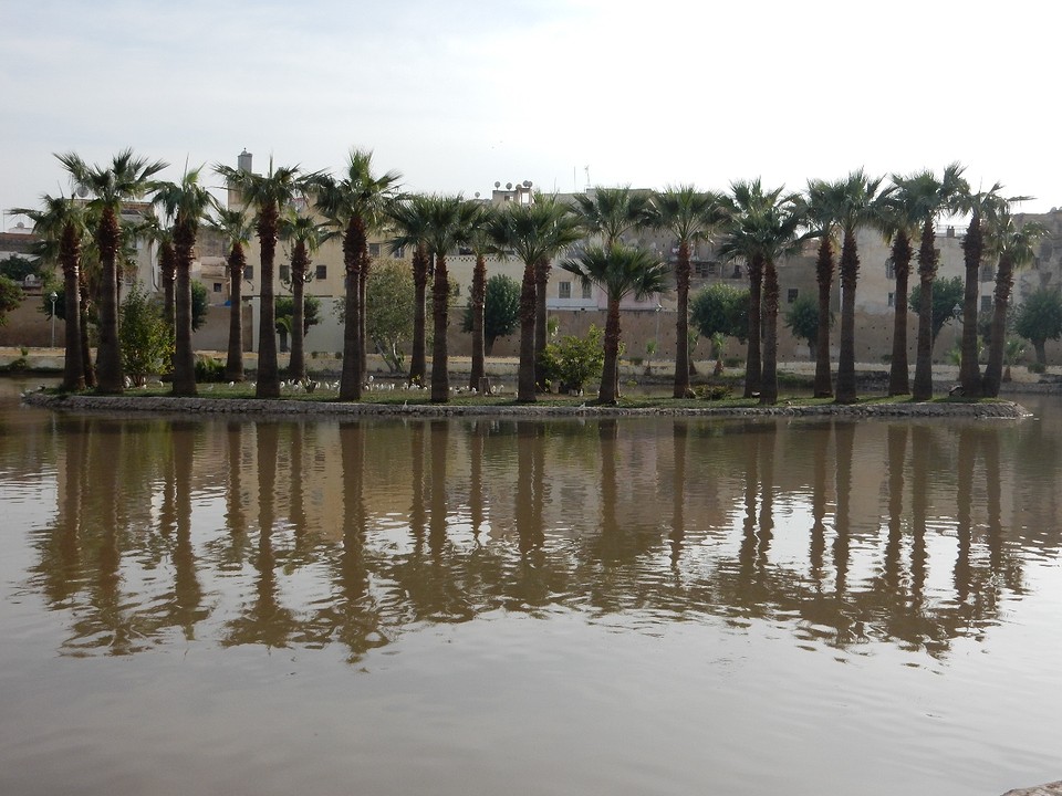 in het Jnane Sbilepark tegenover ons hotel