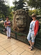 de rotsleeuw van Ifrane