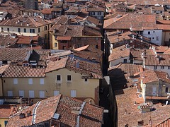 Lucca