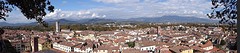 mooi Lucca