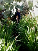 wandeling door smalle paadjes