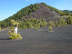 middenin de lava
