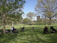 in central park