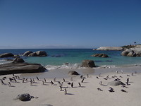 Boulders beach