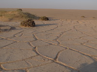 droge grond