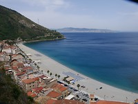 Scilla