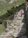 stukje incatrail