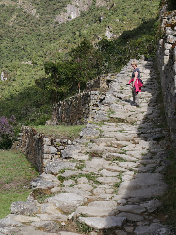 stukje incatrail