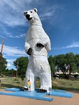 huge bear