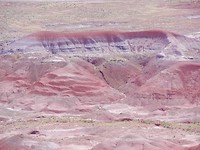 painted desert