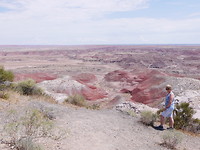 painted desert