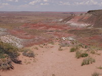 painted desert