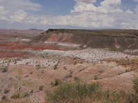 painted desert