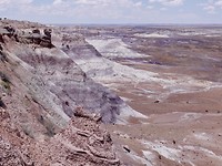 painted desert