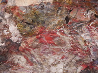 detail stenen boomstam
